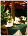 Tonsai Retreat Spa Resort 